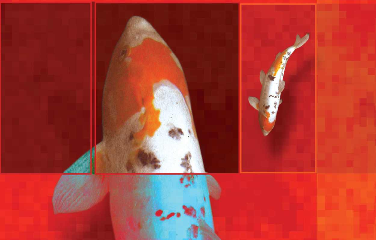 ELSA MERSI | VISUAL DESIGN | GRAFICA 2004