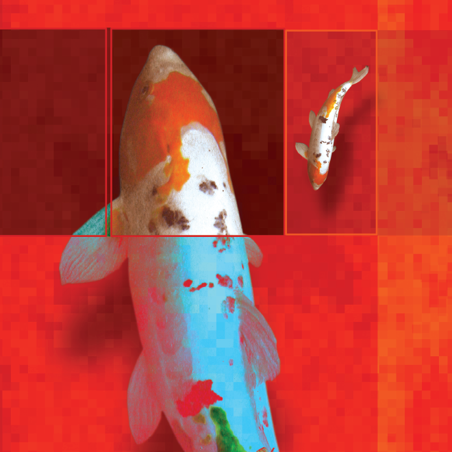 ELSA MERSI | VISUAL DESIGN | GRAFICA 2004