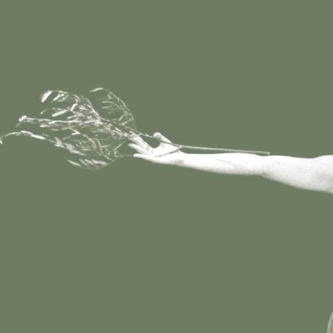 ELSA MERSI | VISUAL DESIGN | GRAFICA 2004