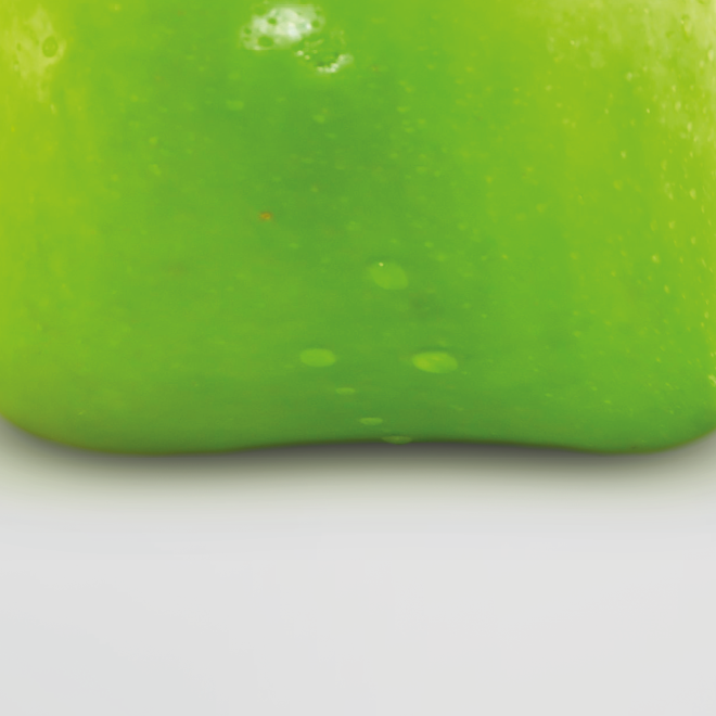 ELSA MERSI | VISUAL DESIGN | GRAFICA 2012