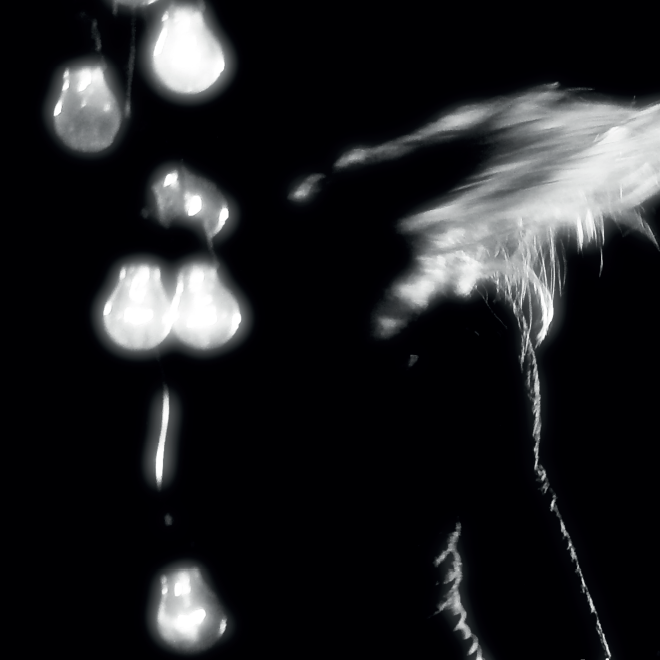 ELSA MERSI | VISUAL DESIGN | GRAFICA 2018