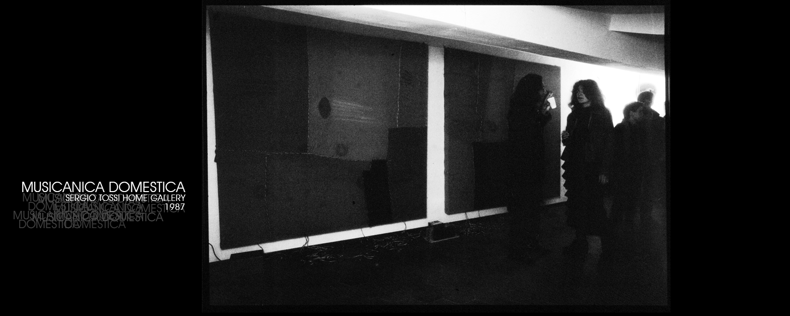 MUSICANICA DOMESTICA