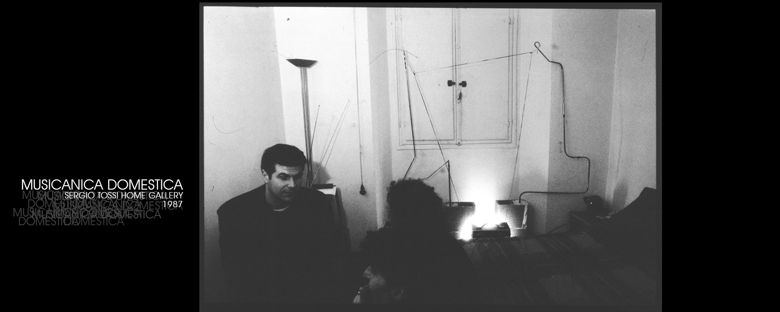 MUSICANICA DOMESTICA